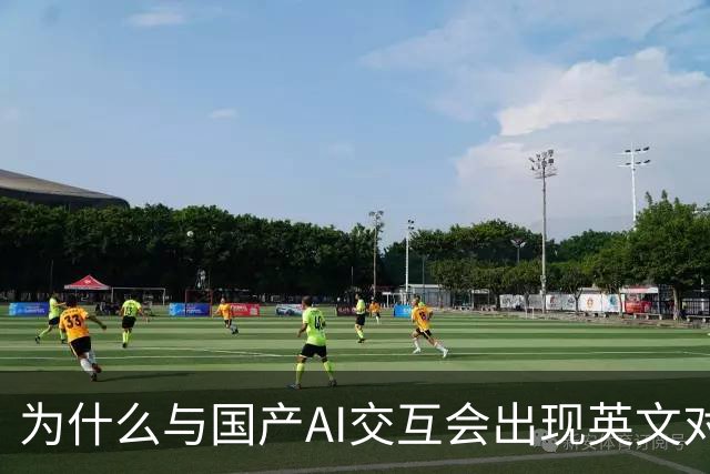 为什么与国产AI交互会出现英文对话？界面是中文底层是英文，难道是二道贩子？