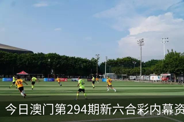 今日澳门第294期新六合彩内幕资料大全，生肖特码内慕推荐，新六合彩内慕三中三资料，澳门六合彩内幕资料