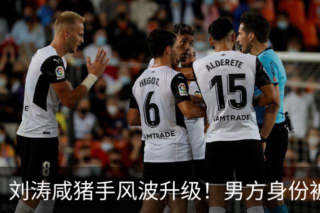 刘涛"咸猪手"风波升级！男方身份被扒，陈都灵、谷爱凌都是受害者