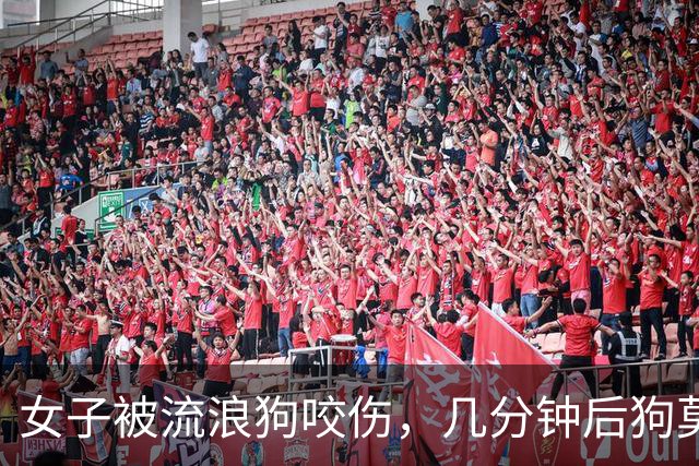 女子被流浪狗咬伤，几分钟后狗莫名死亡；她后怕称“发现狗状态不对劲还贸然上前太鲁莽”；专家提醒：被咬伤后应该马上做这些