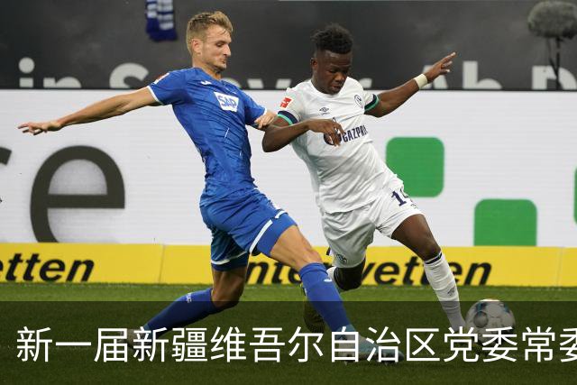新一届新疆维吾尔自治区党委常委简历