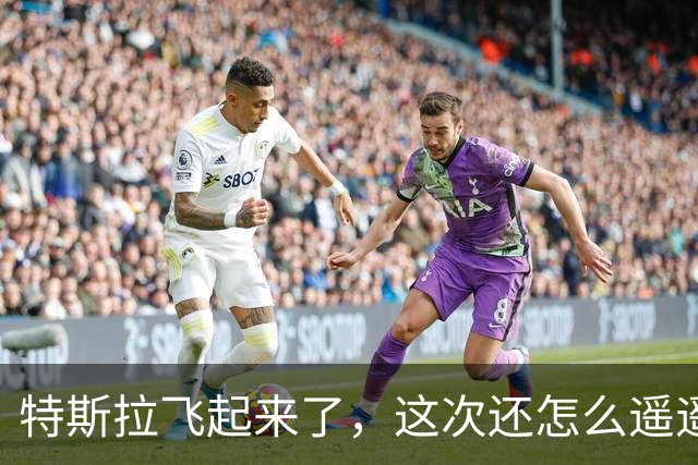 特斯拉飞起来了，这次还怎么遥遥领先？
