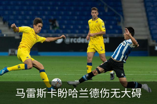 马雷斯卡盼哈兰德伤无大碍