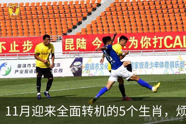 11月迎来全面转机的5个生肖，烦心事慢慢消失，财富爱情接连落地