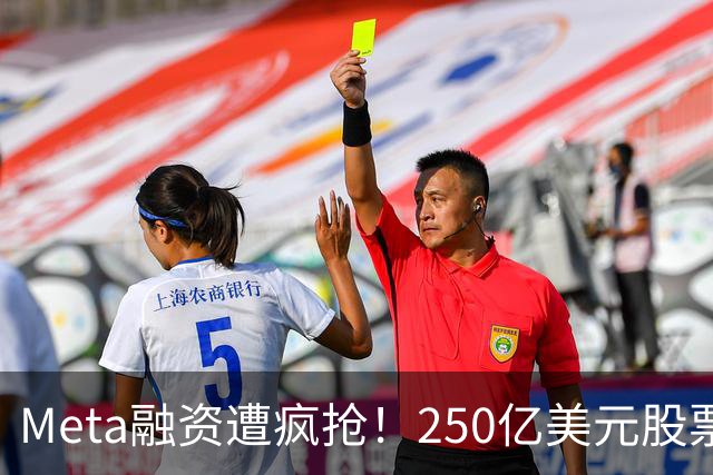Meta融资遭疯抢！250亿美元股票获5倍认购，英伟达、AMD合计拟投40亿美元，股价却已跌破本轮发行价